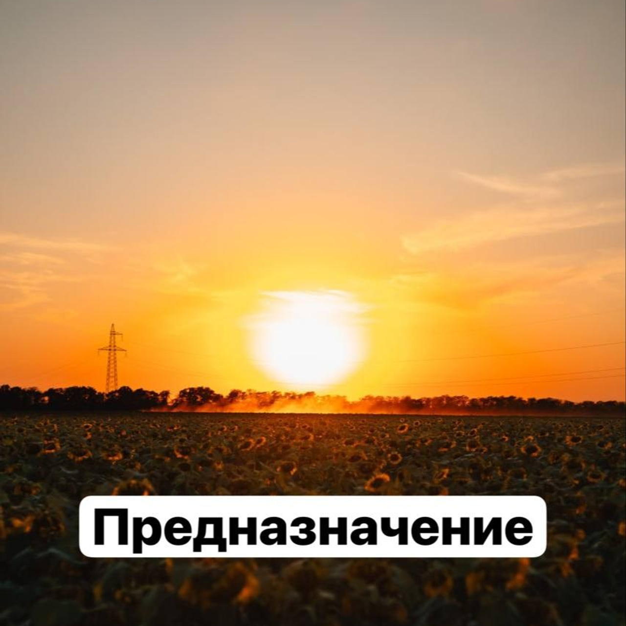 Статьи. Ведический астролог Сергей Пономаренко