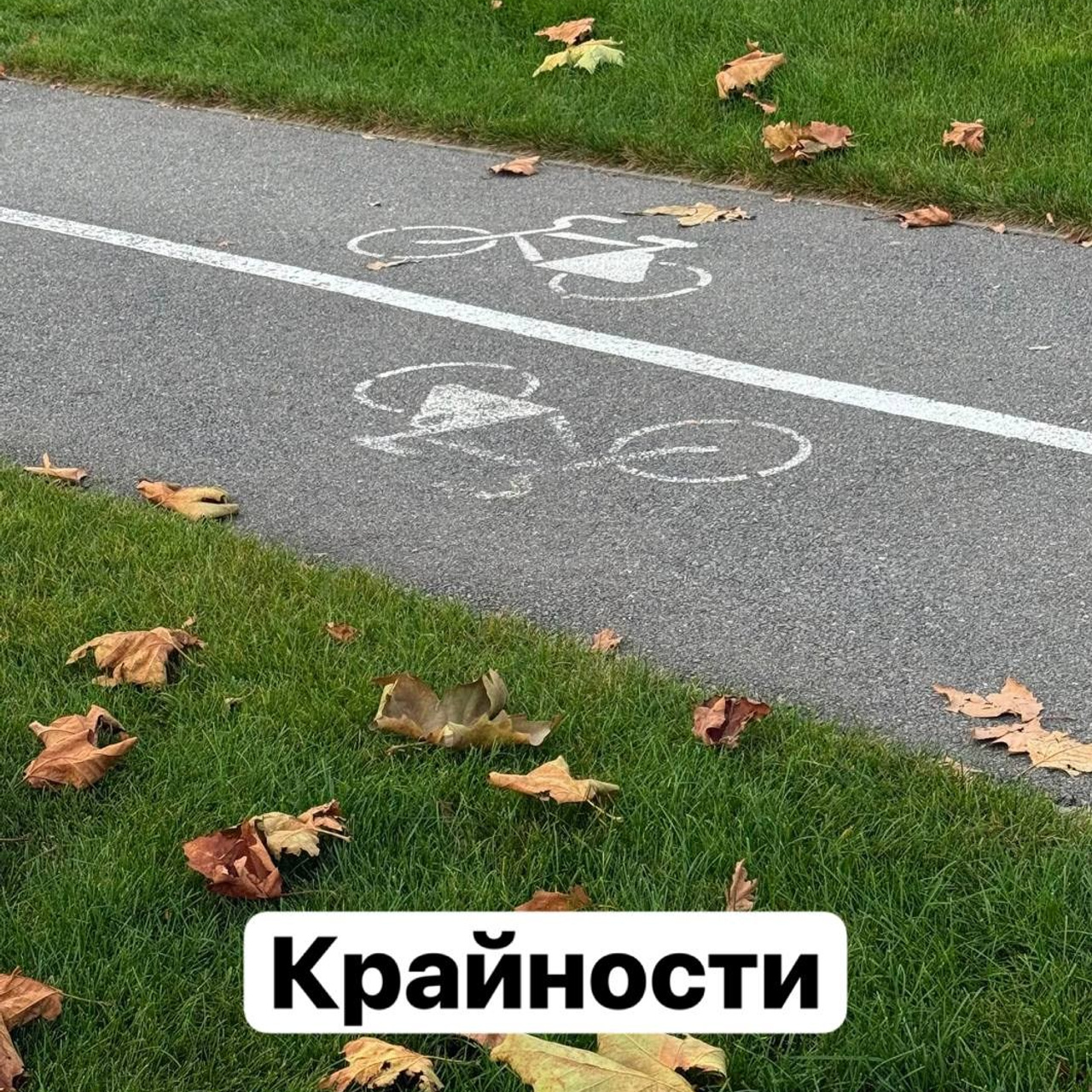 Статьи. Ведический астролог Сергей Пономаренко