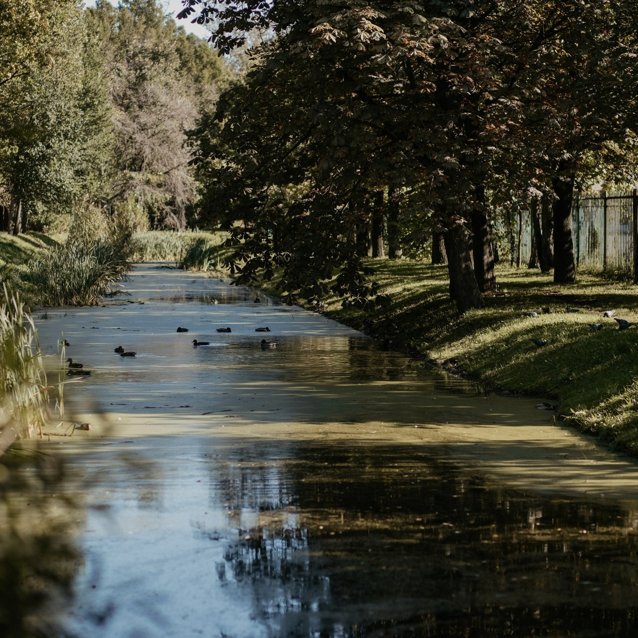 Отзыв о фотосессии. Фотограф из Санкт-Петербурга Оксана Валковая. Женский портрет. Портрет
