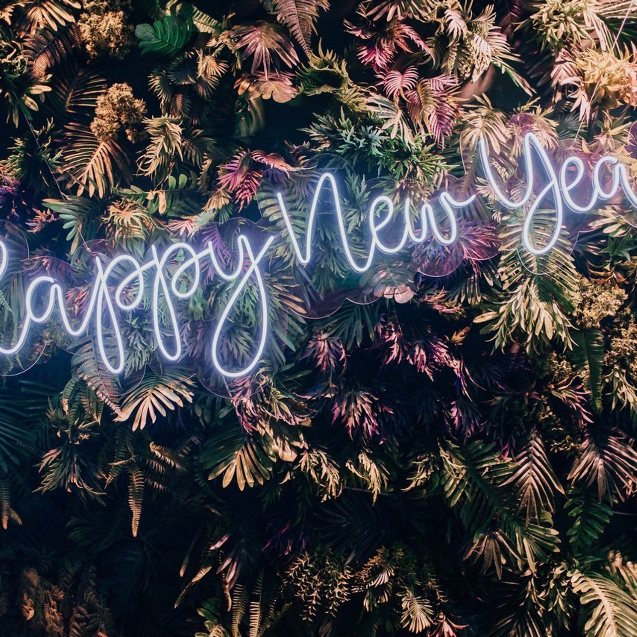 Отзывы. Репортажный фотограф Анастасия Головко