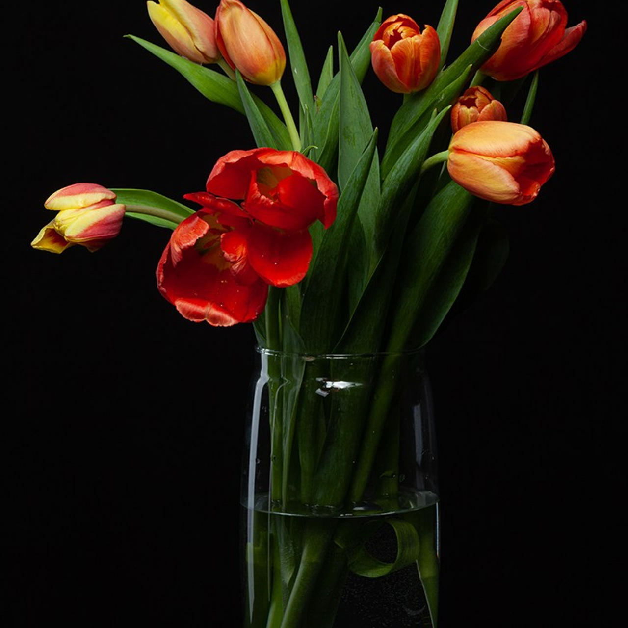 Предметная сьемка. Главная