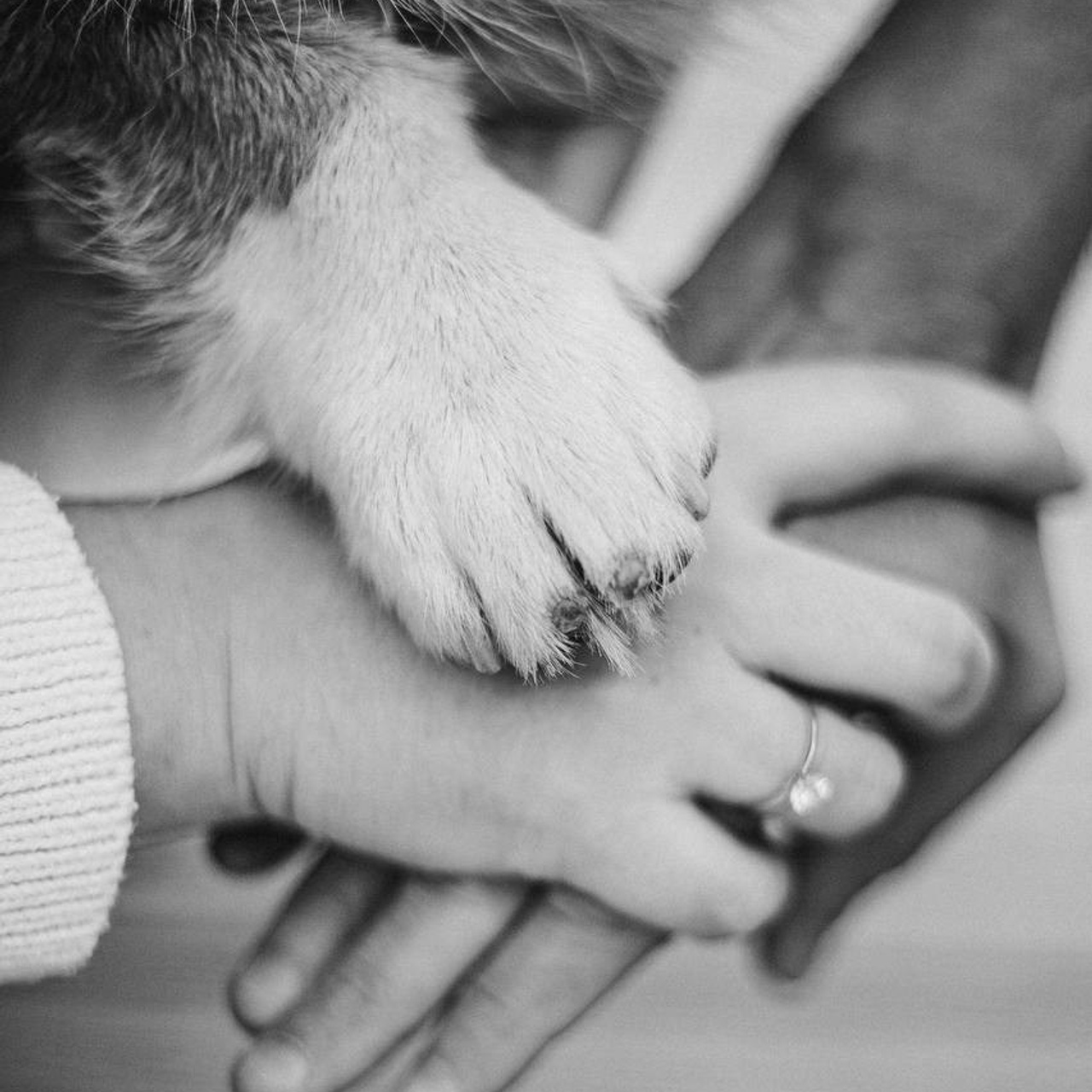 Love story. Семейный и портретный фотограф в Москве Варвара Чекки