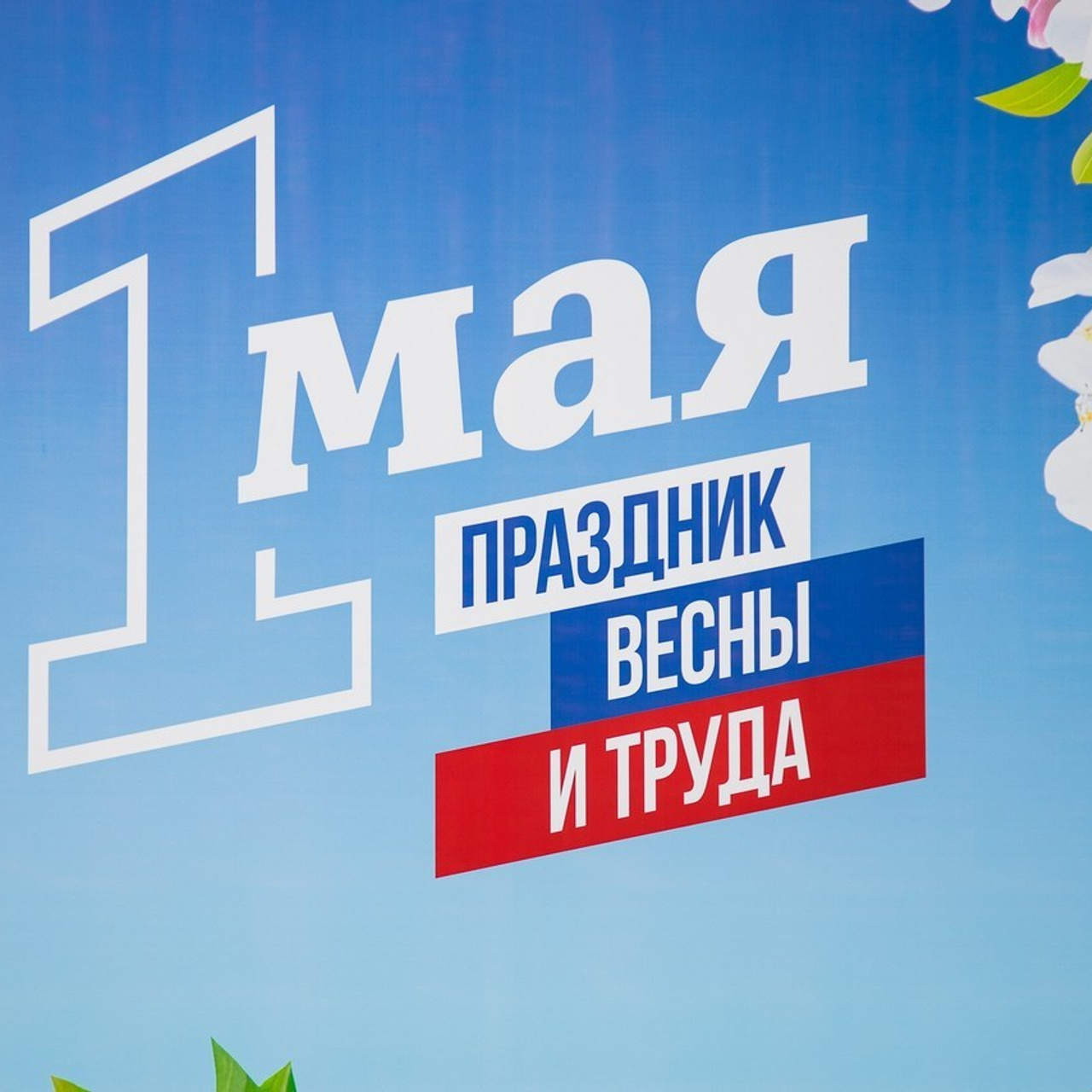 Отзывы клиентов. Фотограф Александр Шалагин