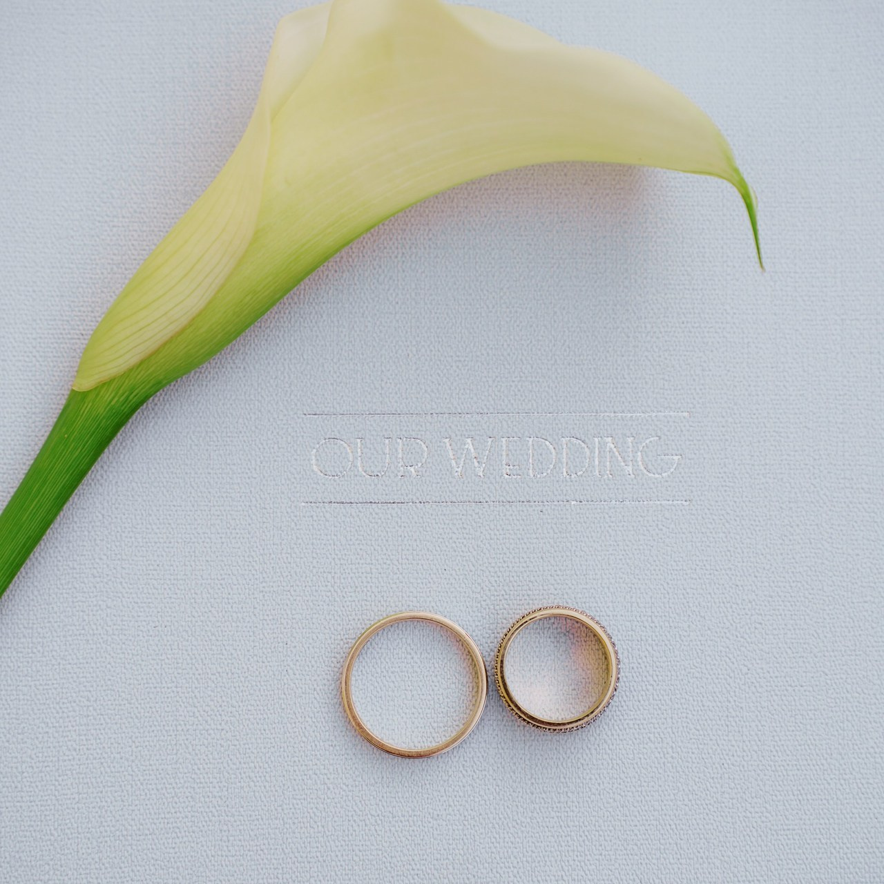 Yorumlar. İrandek. Fotoğrafçı. İzmir