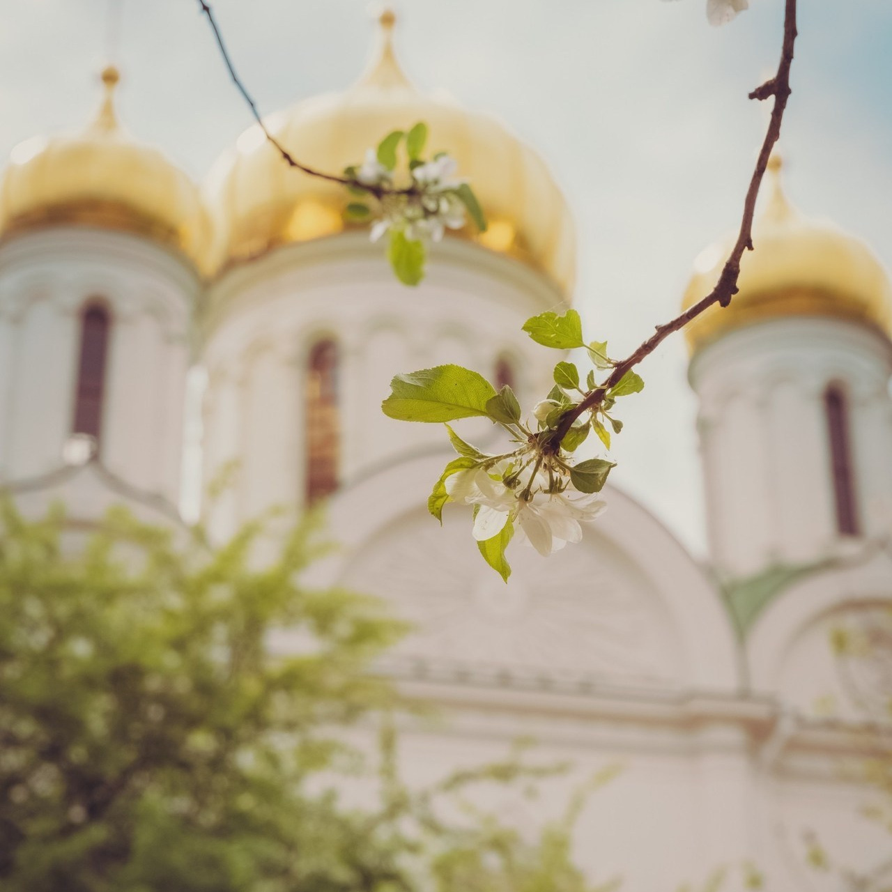 Отзывы. Свадебный фотограф, крещение, венчание СПБ, Белгород Анна Коршунова