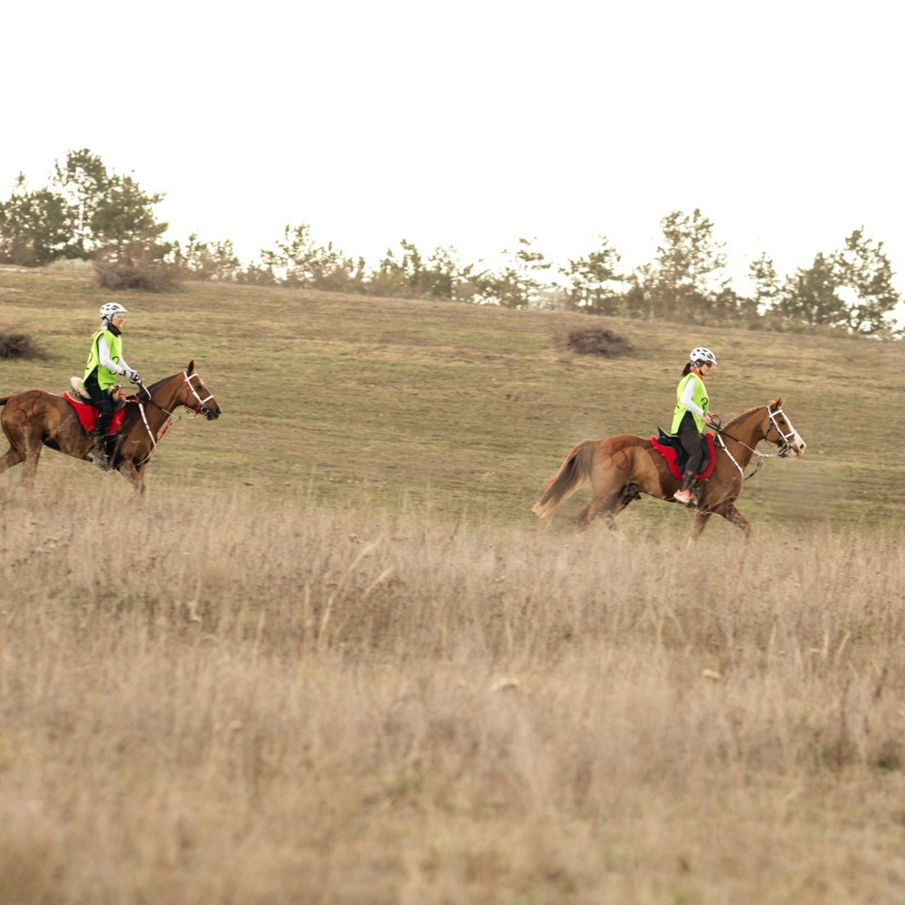 Отзывы. Ваш фотограф в Крыму | Соболевская Анастасия