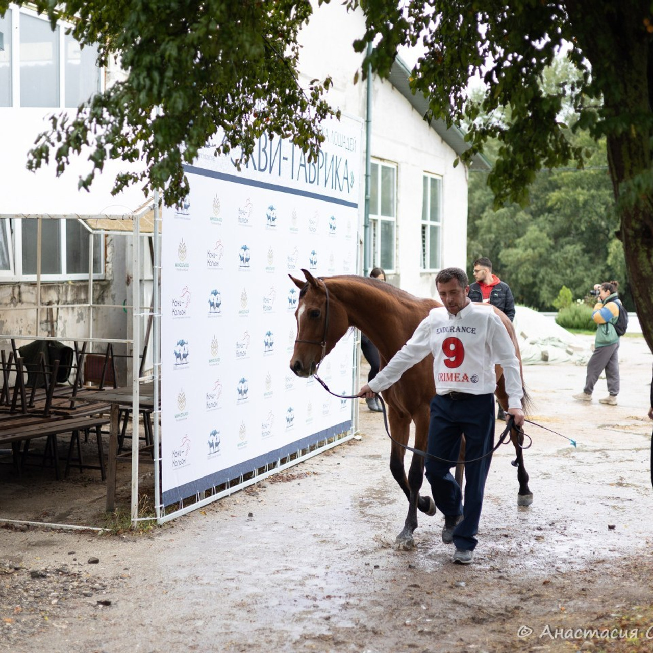 Отзывы. Ваш фотограф в Крыму | Соболевская Анастасия