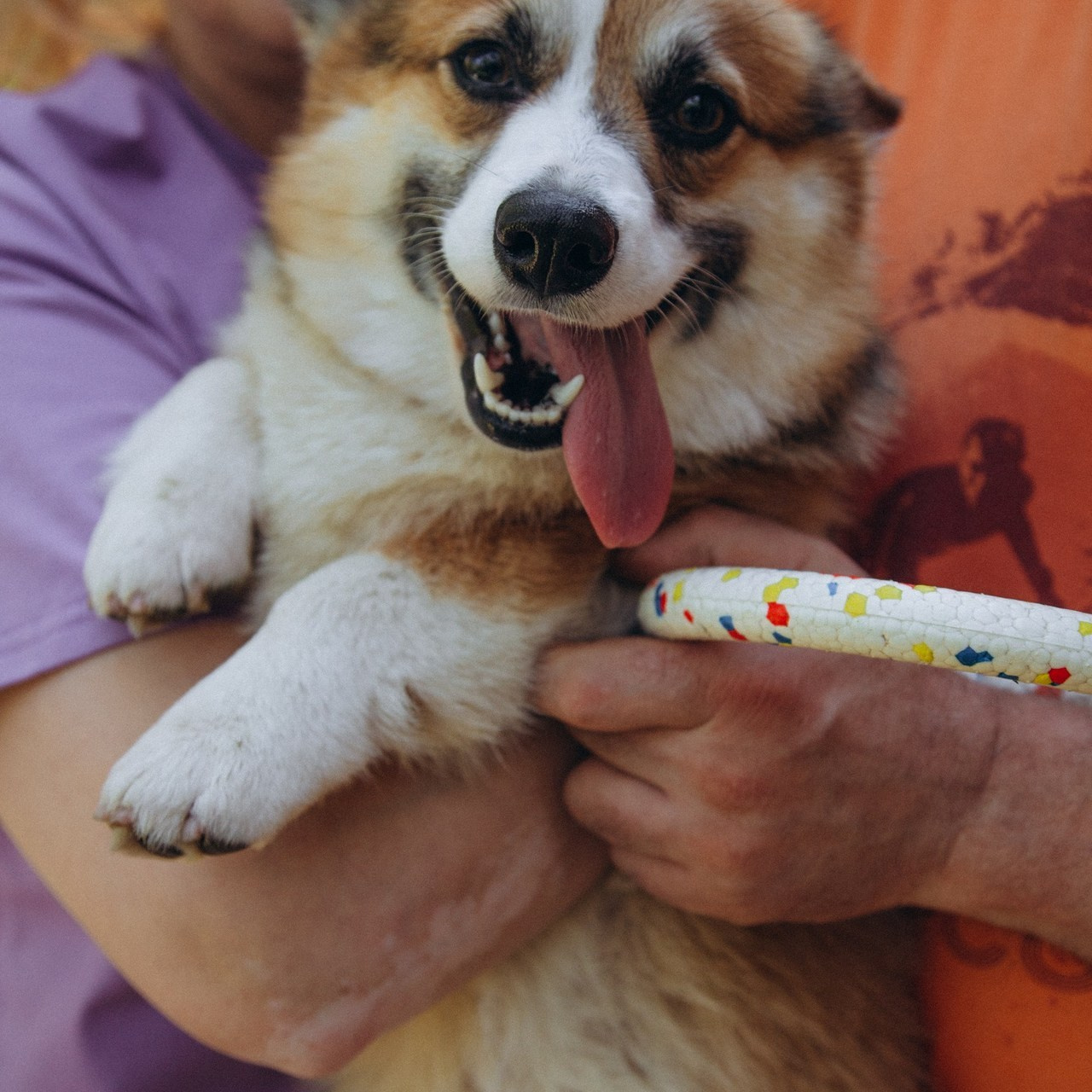 Отзывы. Женский портрет, лав стори, детская и семейная фотосессия, свадьбы