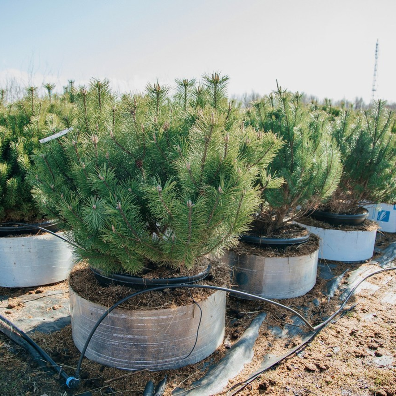 Отзывы. Женский портрет, лав стори, детская и семейная фотосессия, свадьбы