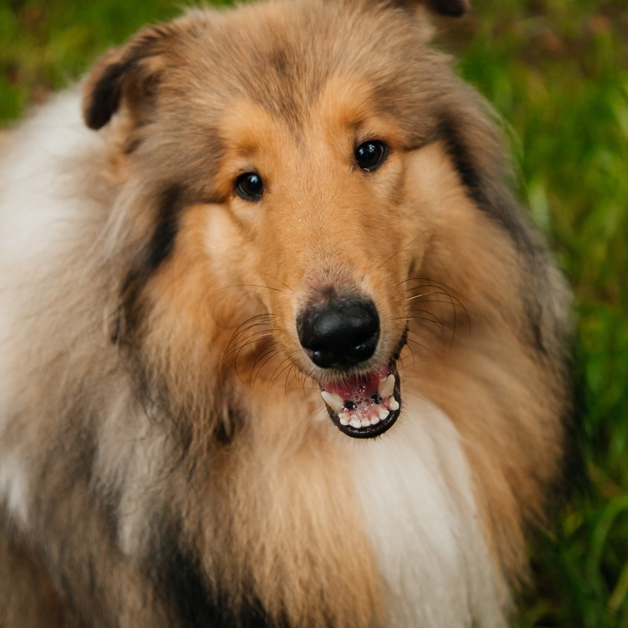 Отзывы. Женский портрет, лав стори, детская и семейная фотосессия, свадьбы