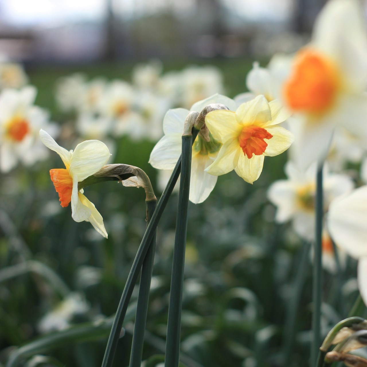Отзывы. Фотограф Ольга Южная / Екатеринбург