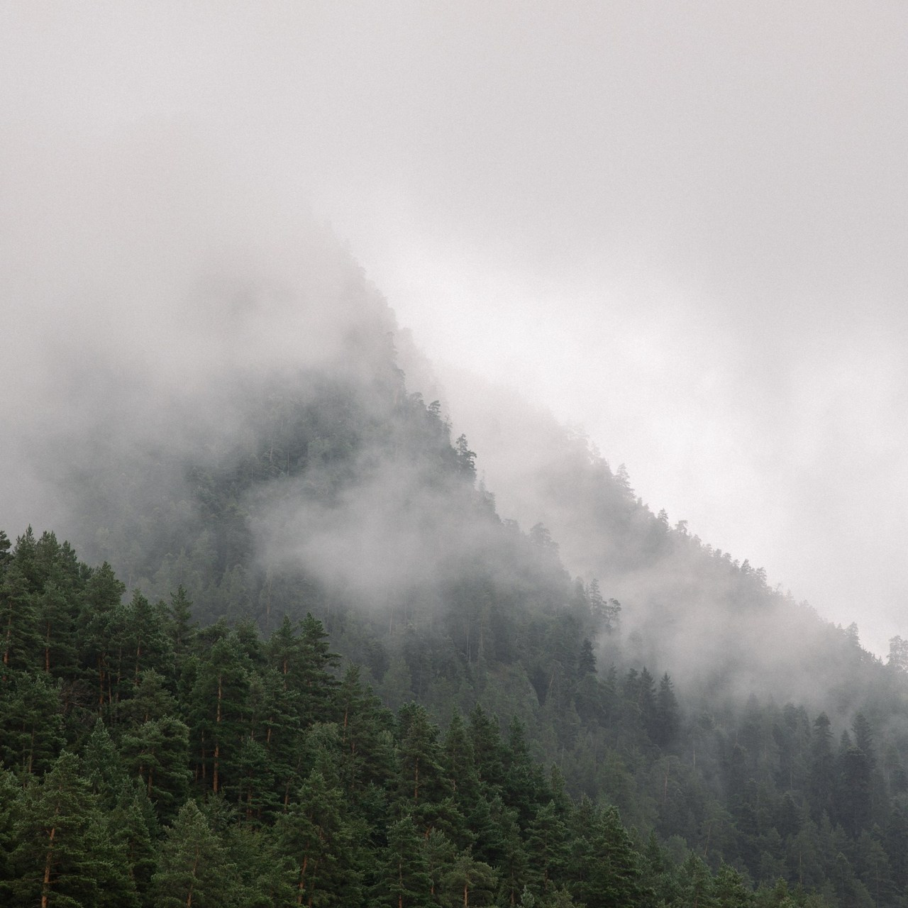 Отзывы. Семейный, портретный и свадебный фотограф в Москве и Одинцово Лощинина Мария