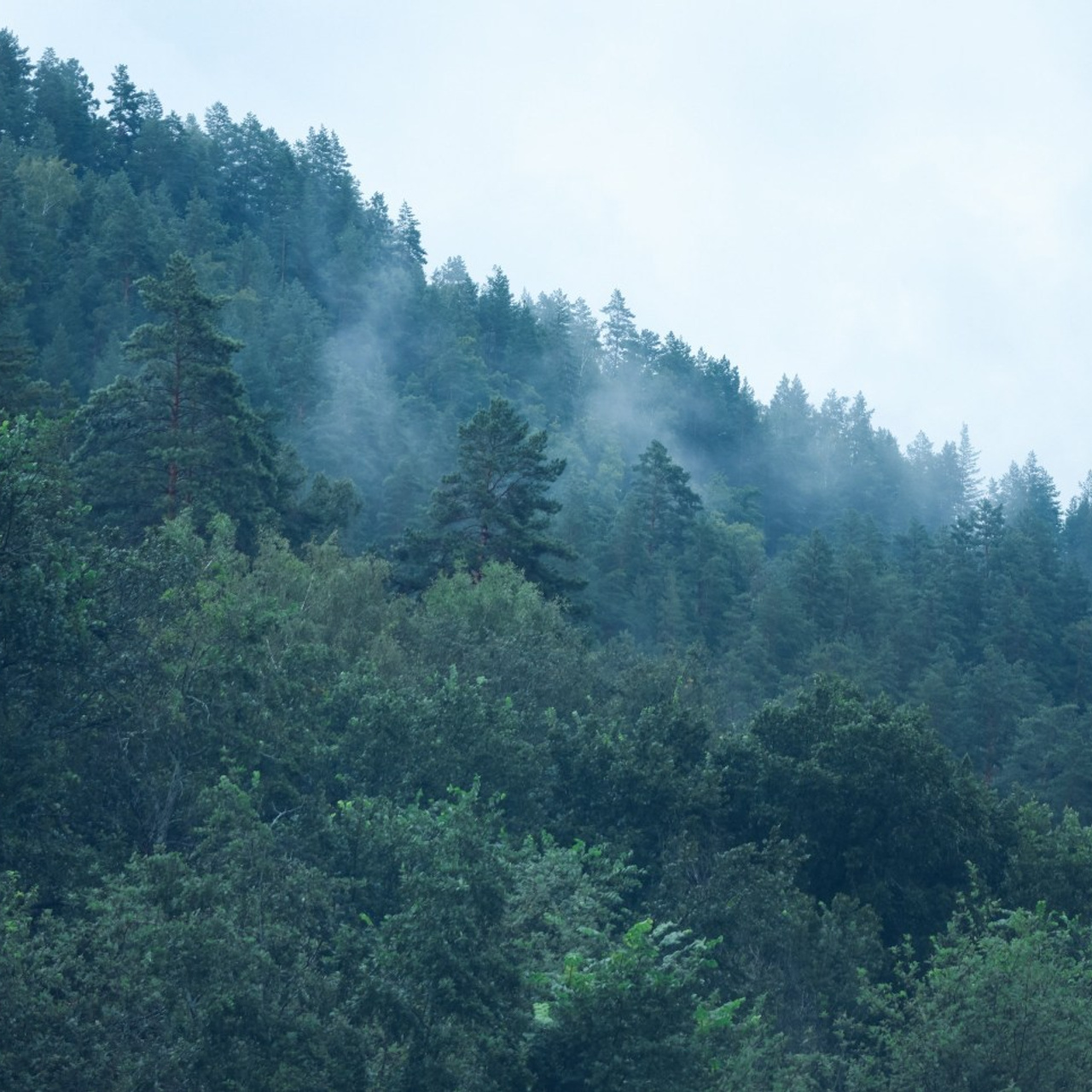 Отзывы. Предметный и модельный фотограф Хасаншин Дамир