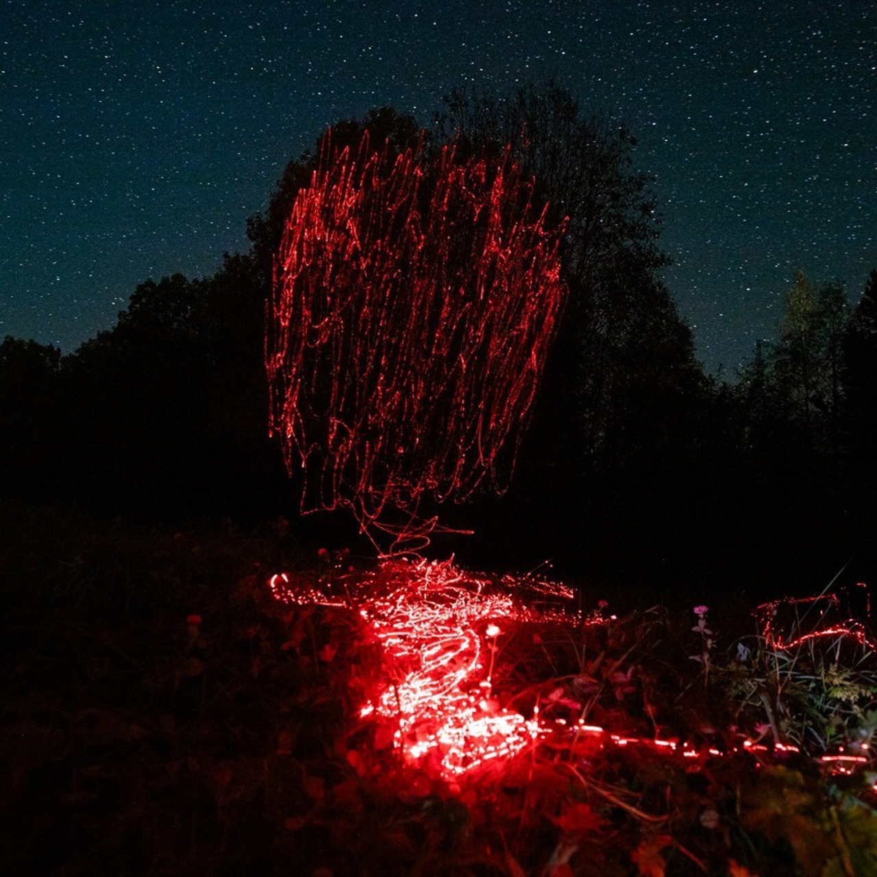 Отзывы. Фотограф Мария Немм