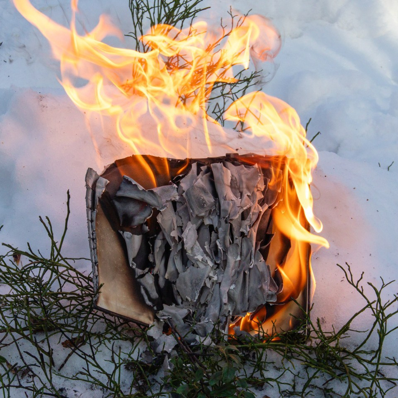 Отзывы. Фотограф Мария Немм