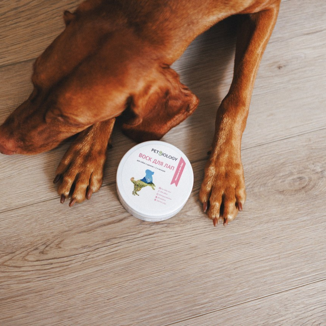 Отзывы. Фотограф анималист Осипчикова Мария