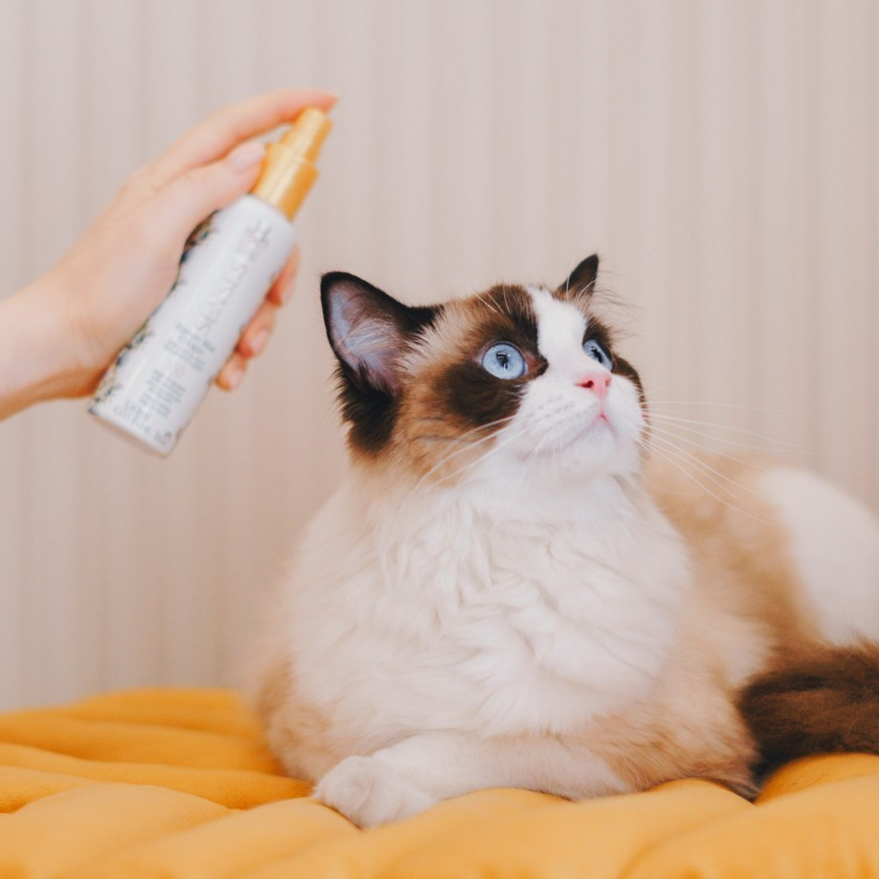 Отзывы. Фотограф анималист Осипчикова Мария