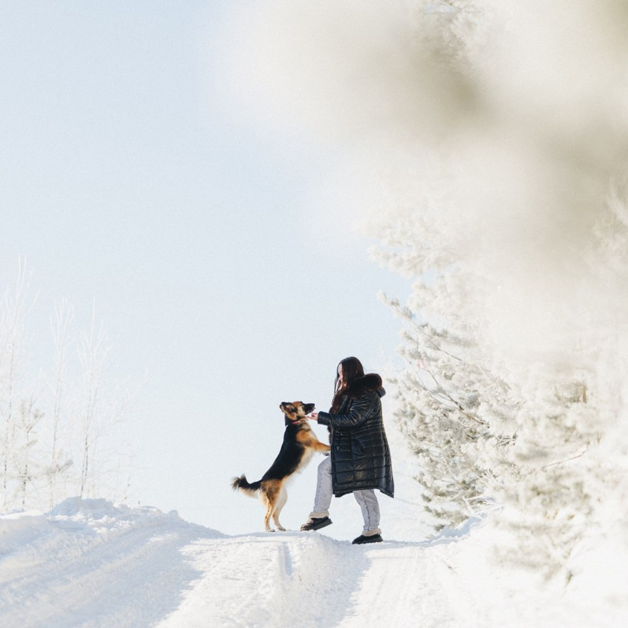 Отзывы. Фотограф анималист Осипчикова Мария