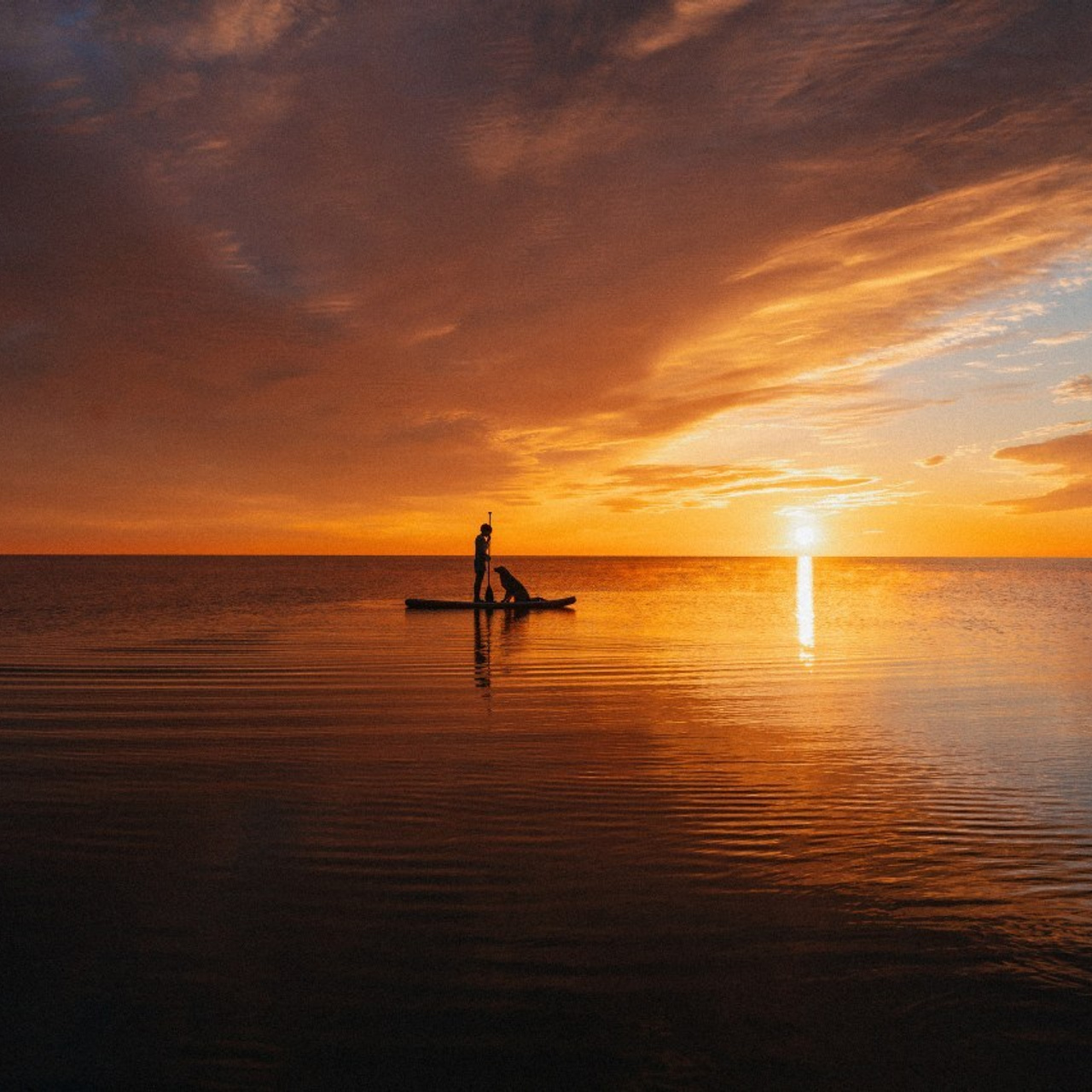 Отзывы. Фотограф анималист Осипчикова Мария