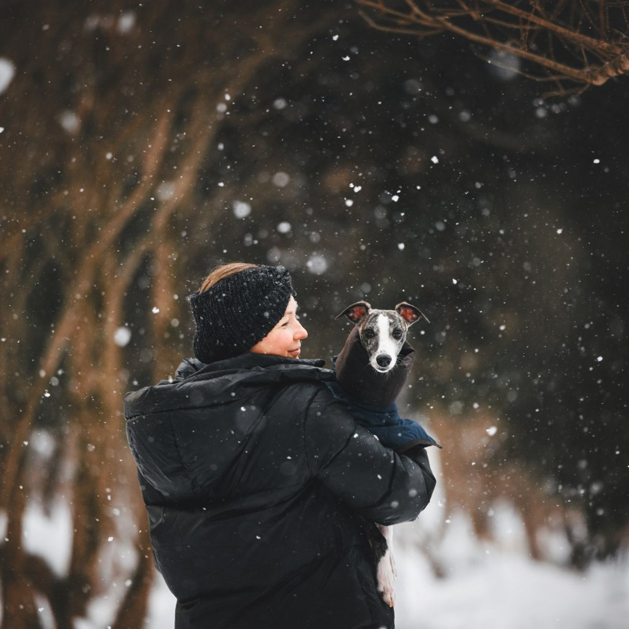 Отзывы. Фотограф анималист Осипчикова Мария