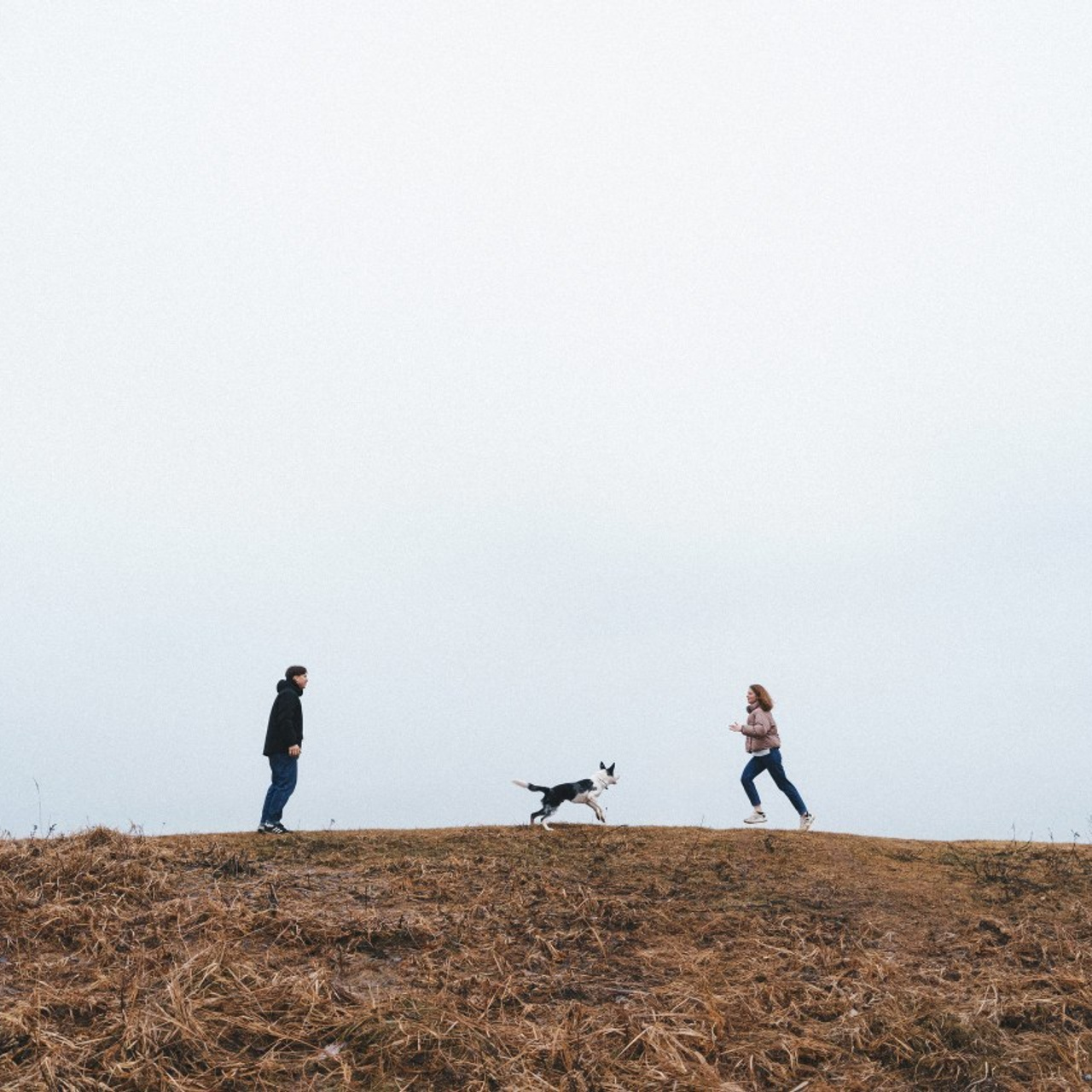 Отзывы. Фотограф анималист Осипчикова Мария