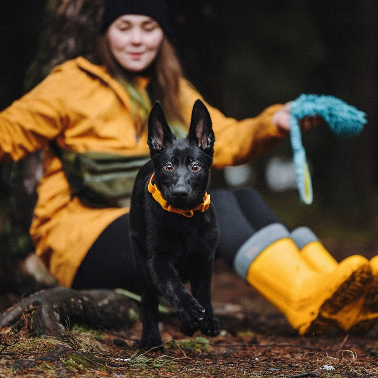 Отзывы. Фотограф анималист Осипчикова Мария