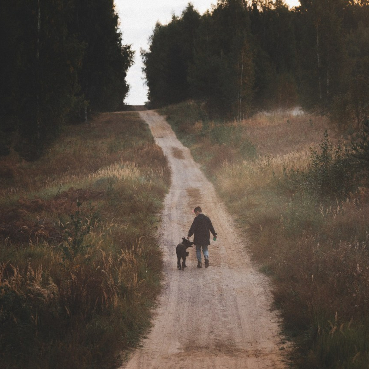 Отзывы. Фотограф анималист Осипчикова Мария