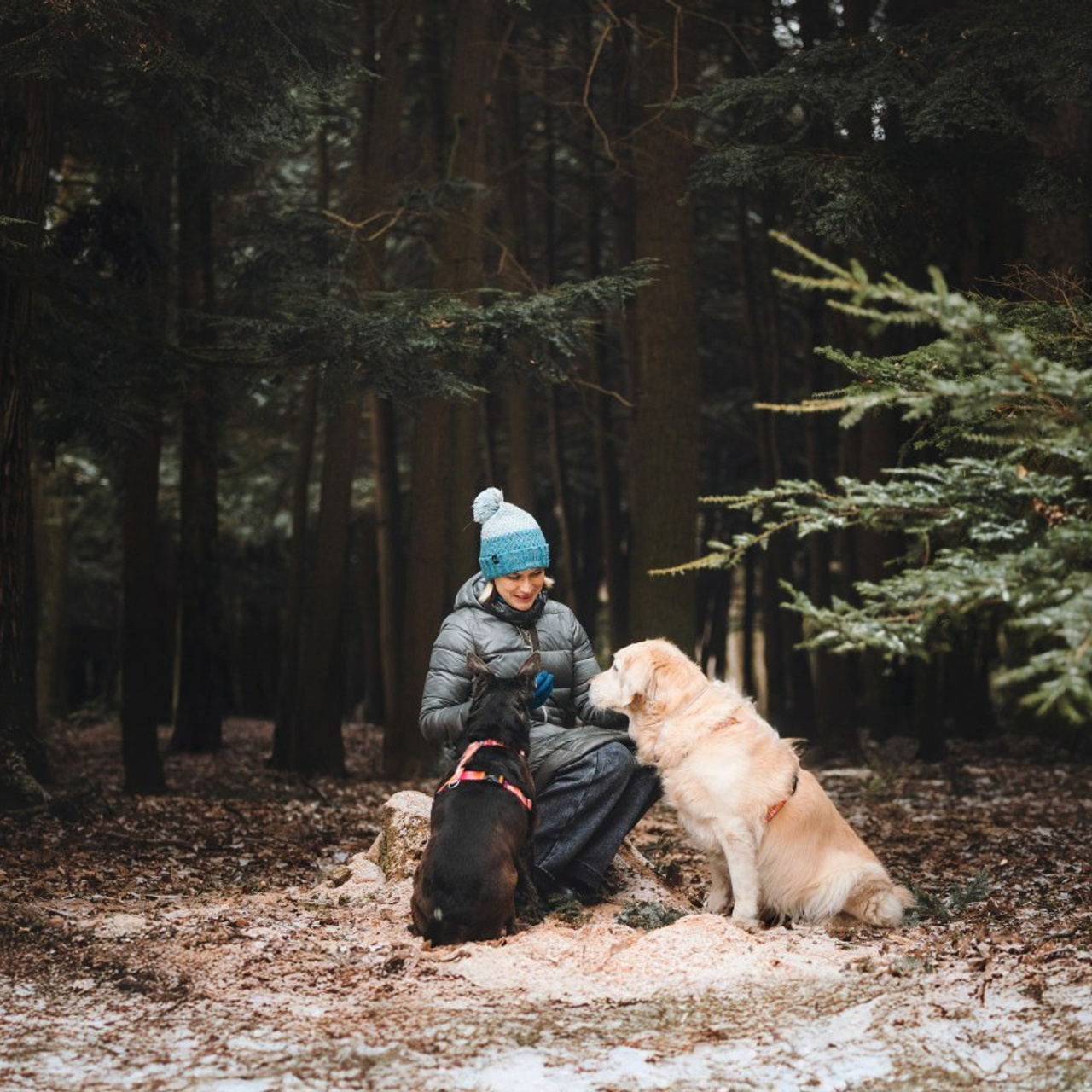 Отзывы. Фотограф анималист Осипчикова Мария