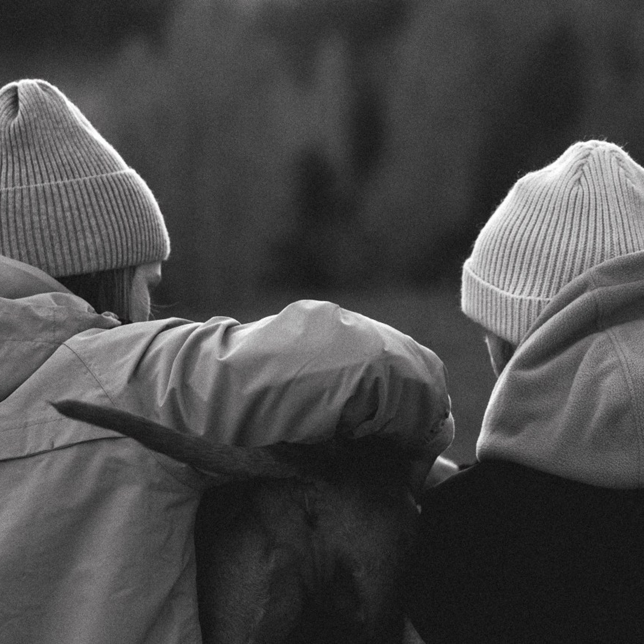 Отзывы. Фотограф анималист Осипчикова Мария