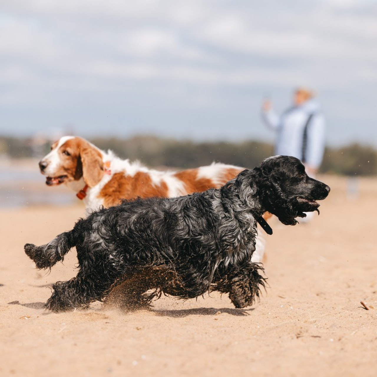 Отзывы. Фотограф анималист Осипчикова Мария
