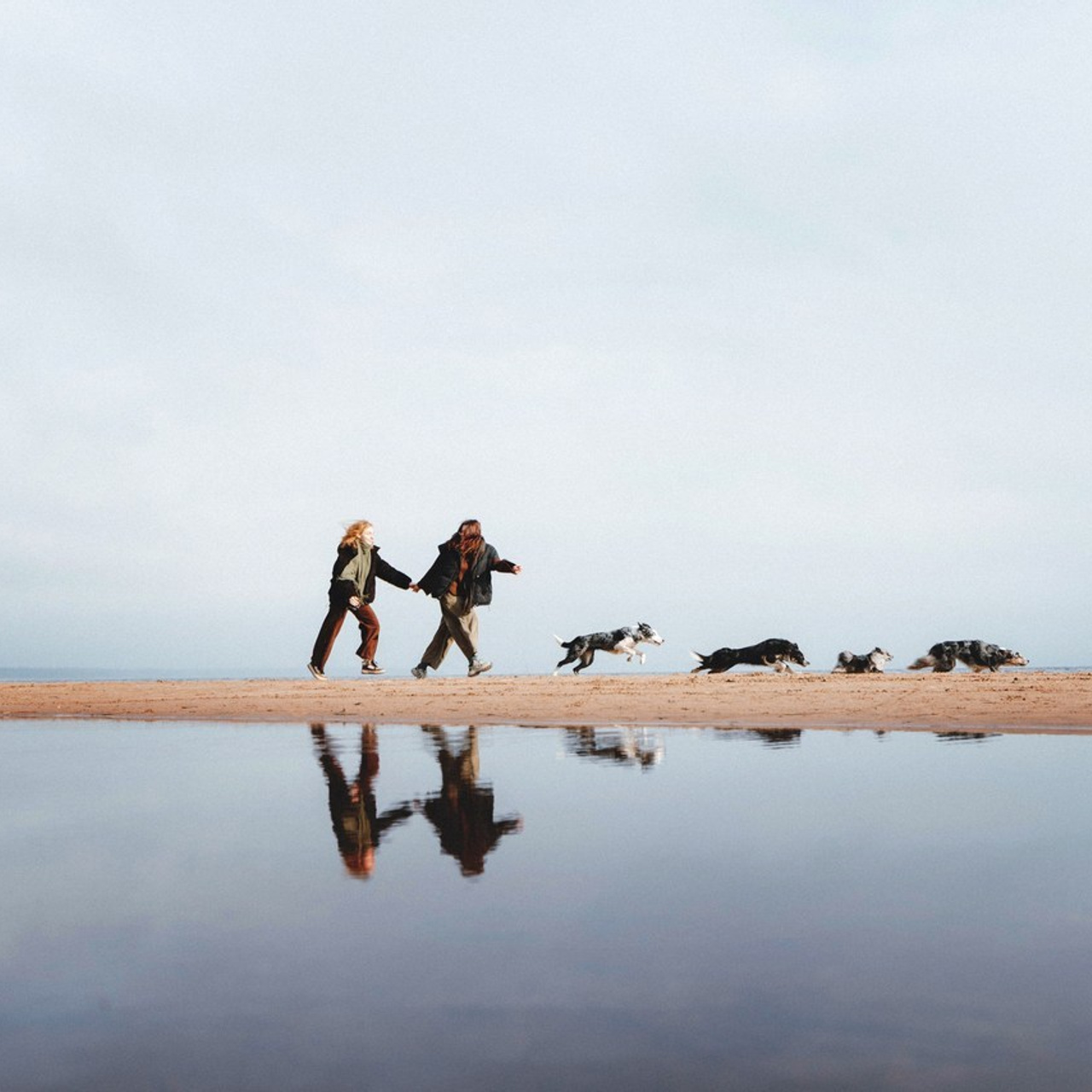 Отзывы. Фотограф анималист Осипчикова Мария