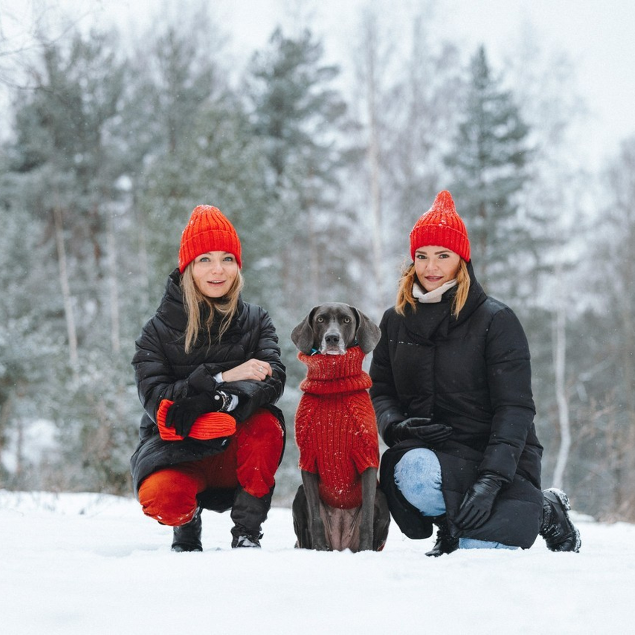 Отзывы. Фотограф анималист Осипчикова Мария