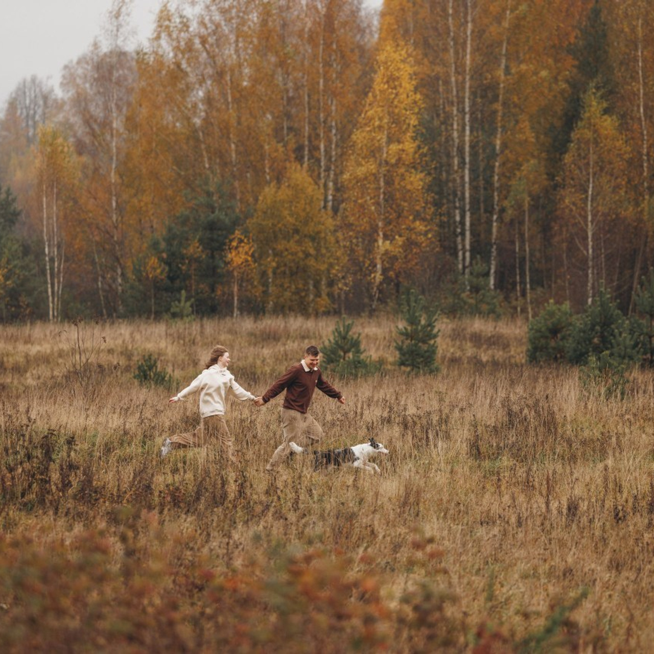 Отзывы. Фотограф анималист Осипчикова Мария