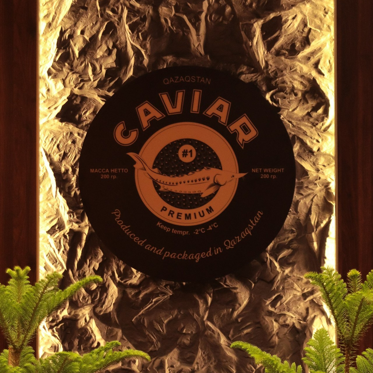 Отзывы. Репортажный, портретный, студийный и автомобильный фотограф в городе Алматы, Талгар и Иссык — Занорин Артем