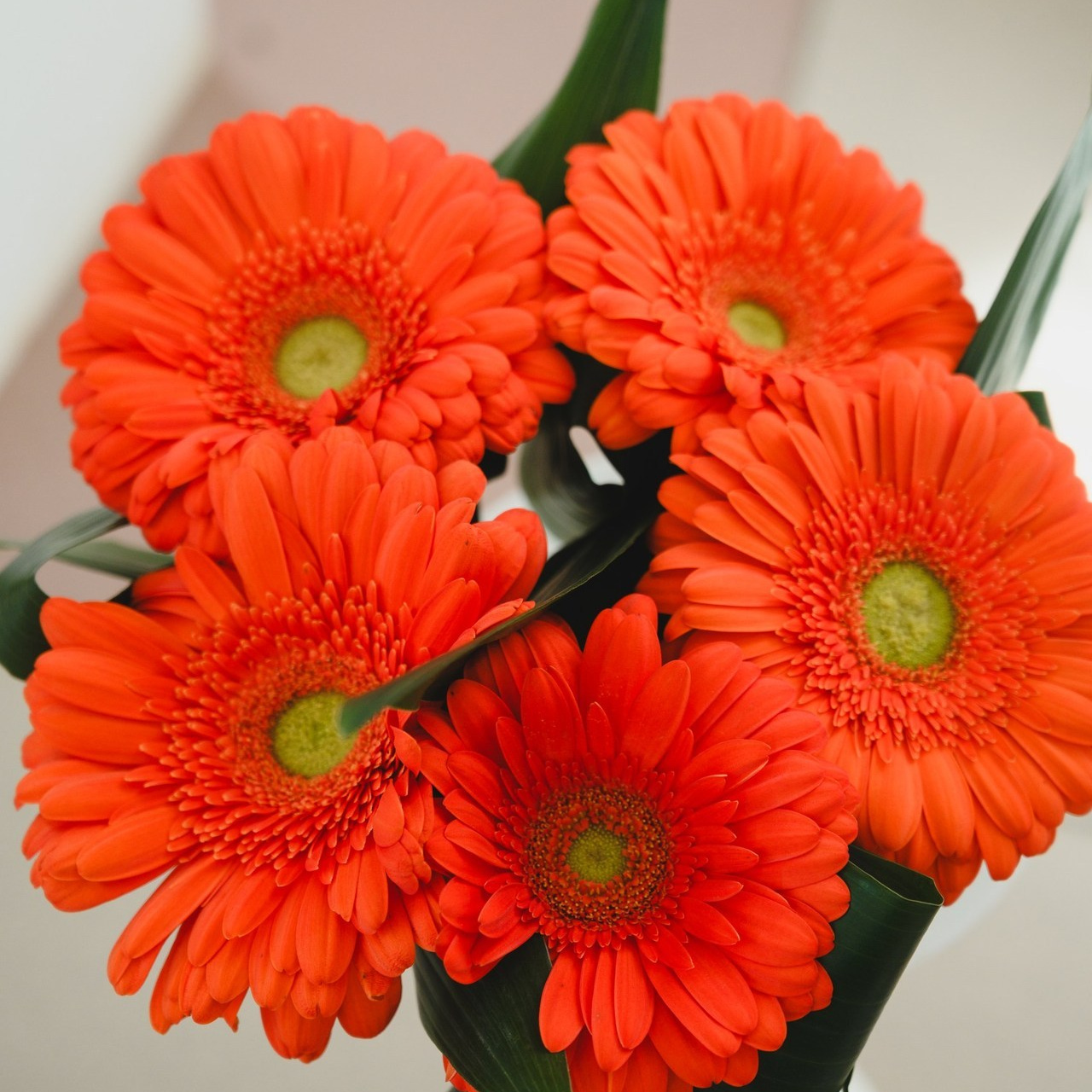 Отзывы. Профессиональный фотограф в Чебаркуле и Челябинске Давигора Елизавета