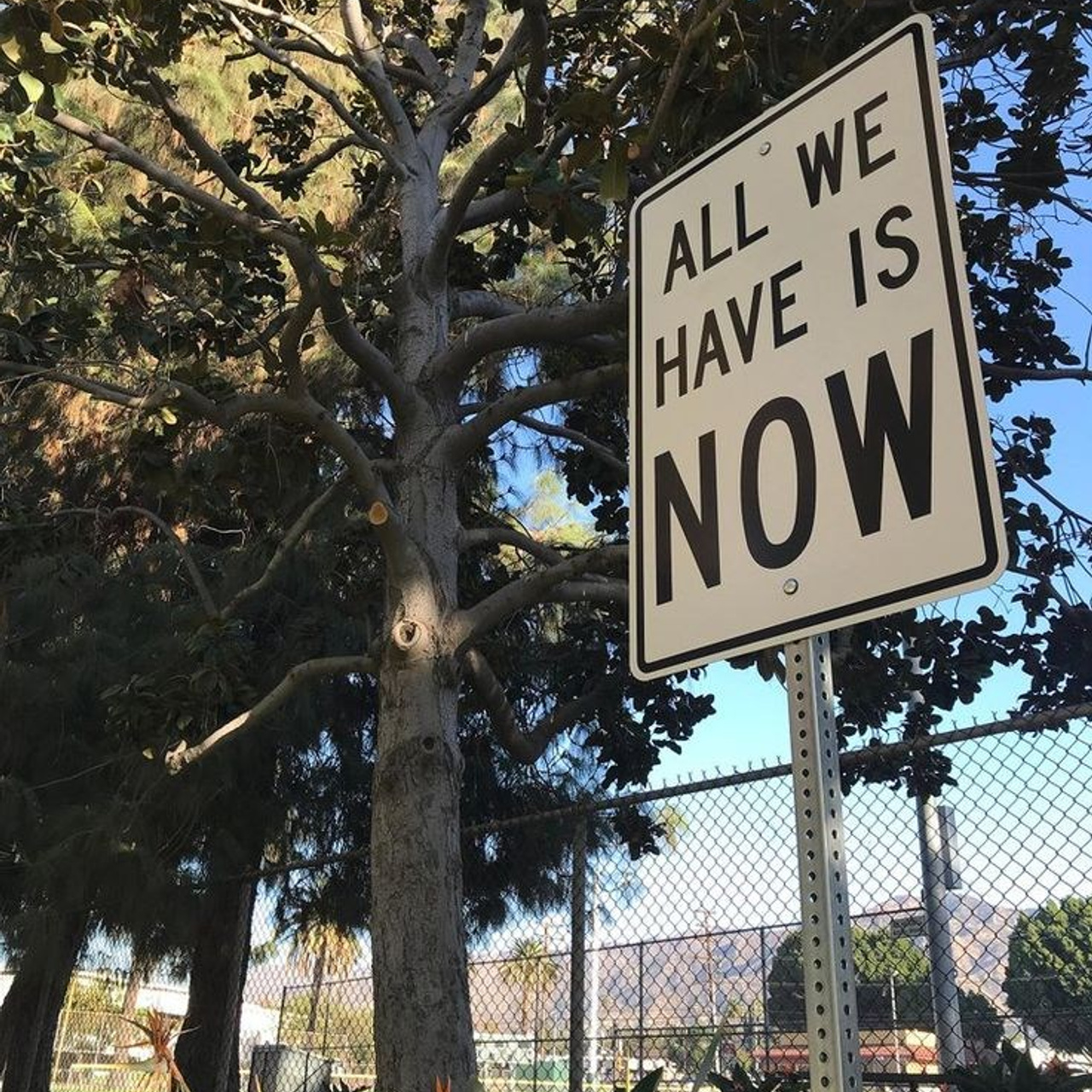 Отзывы. Юлиана Смешек, коуч, наставник экспертов и предпринимателей