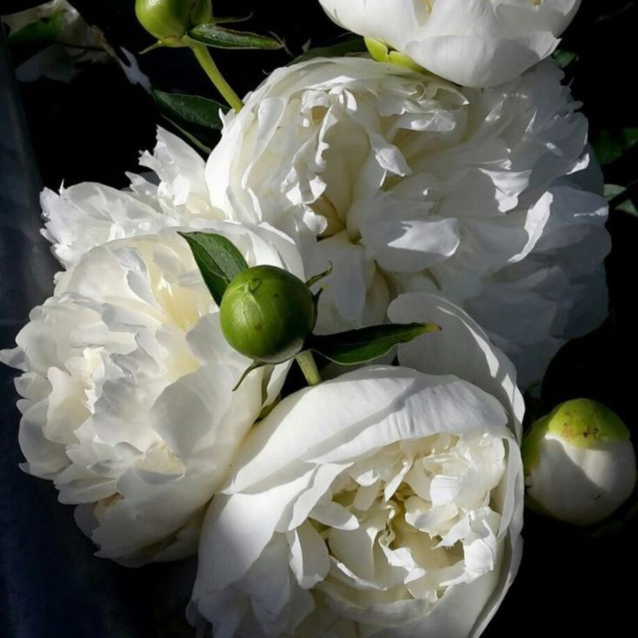 Отзывы. Юлиана Смешек, коуч, наставник экспертов и предпринимателей