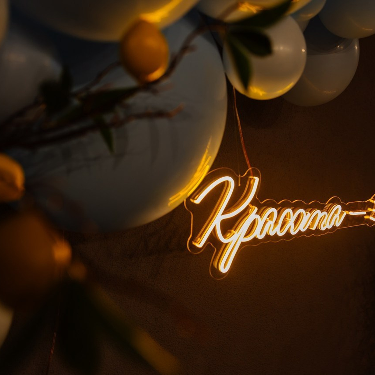 Отзывы. Свадебный фотограф в Иванове Василий Тонков свадебный фотограф; фотограф в Иваново