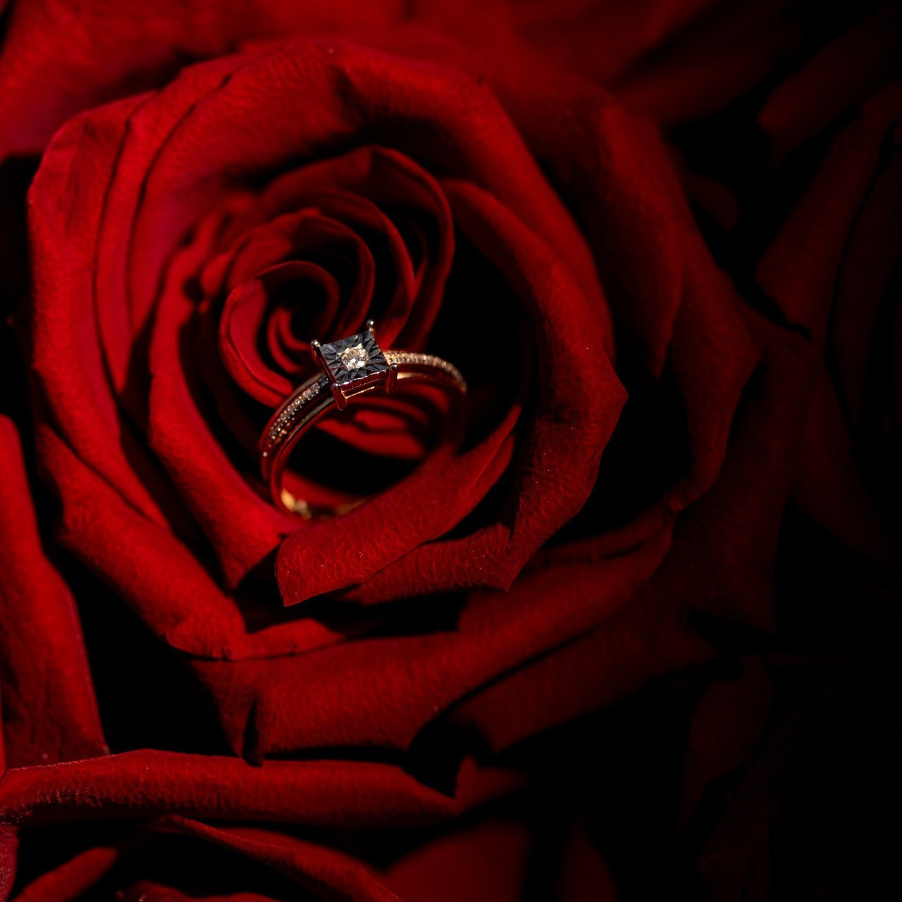 Отзывы. Свадебный и семейный фотограф в Сочи Василина Ломакина