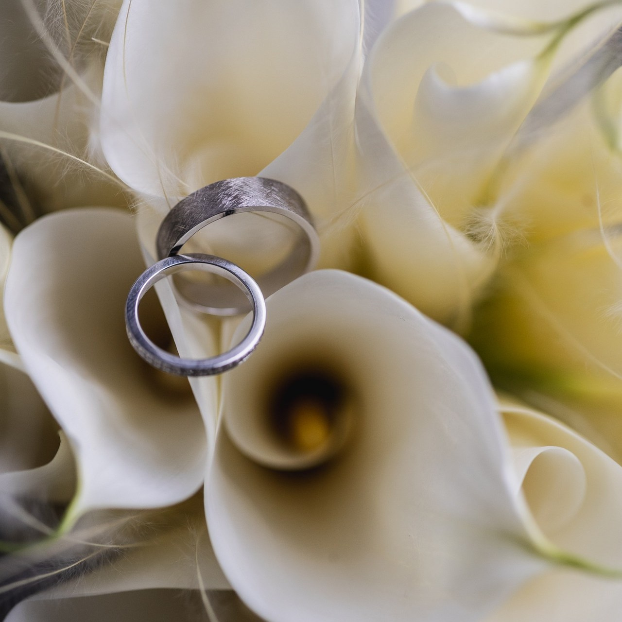 Отзывы. Свадебный и семейный фотограф в Сочи Василина Ломакина