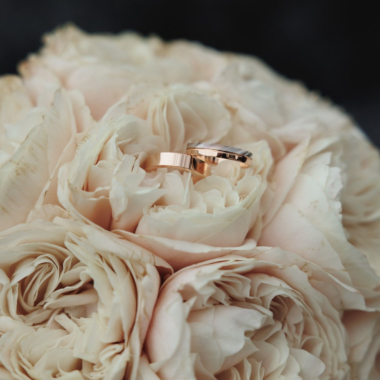 Отзывы. Свадебный и семейный фотограф в Сочи Василина Ломакина