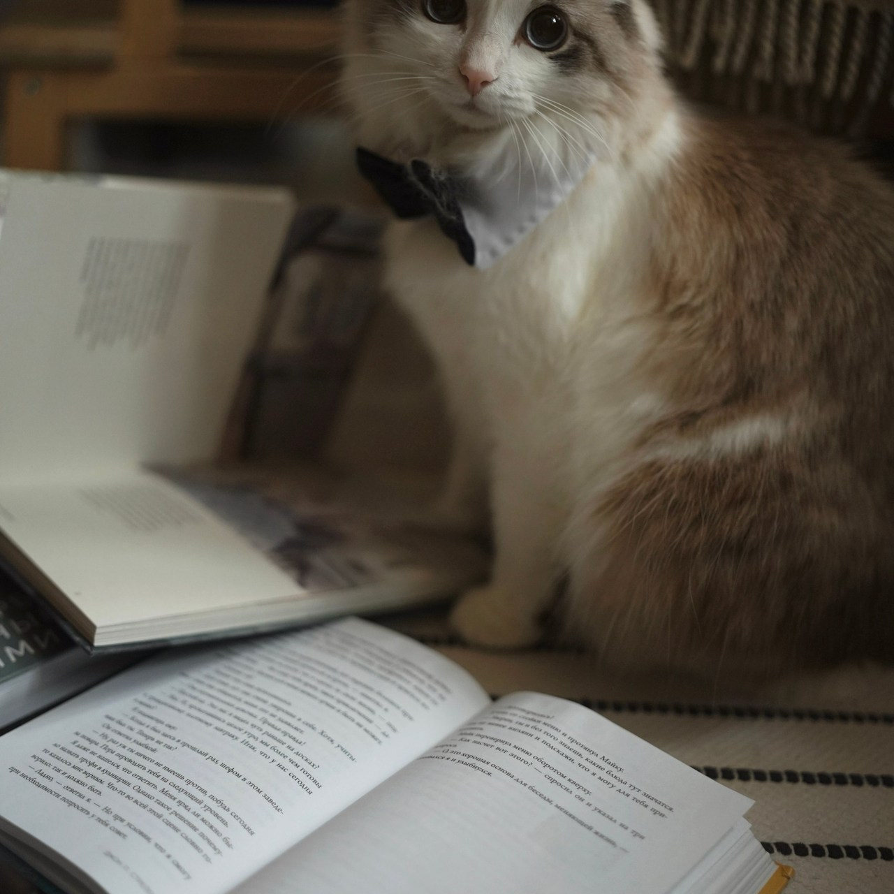 Отзывы. Fotографиня из Санкт-Петербурга Настя Шуман