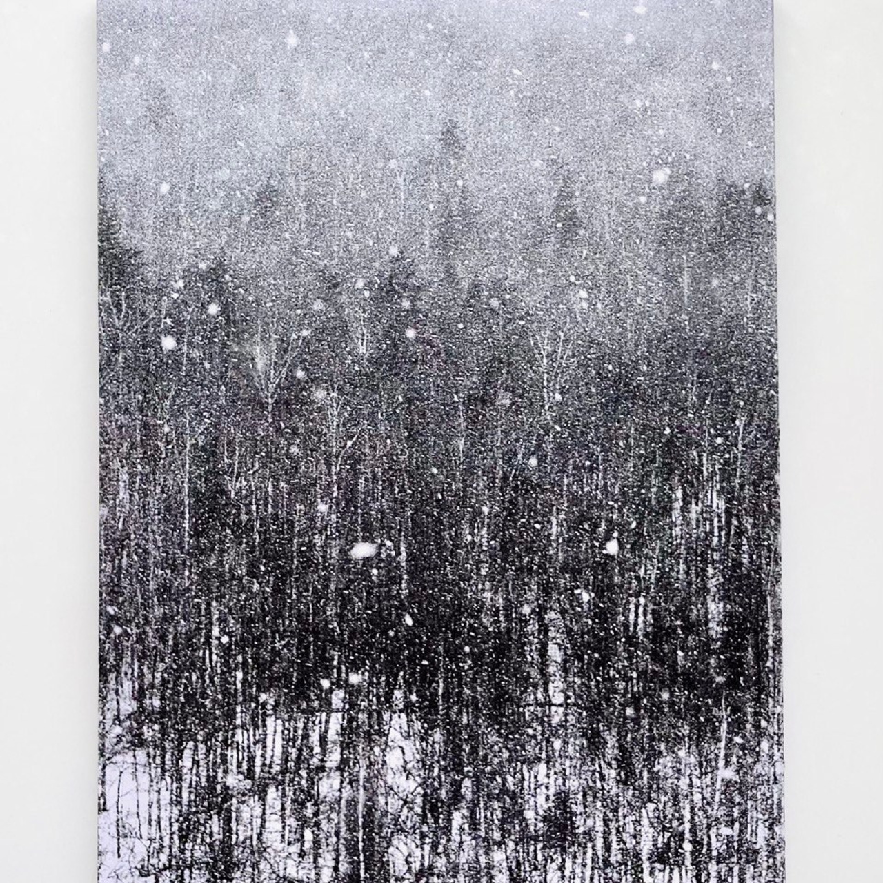 Кто сломал снеговика?