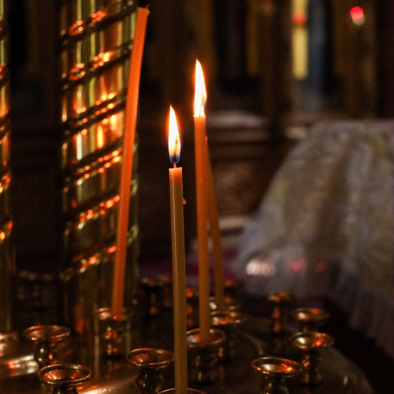 Отзывы. Фотограф Анна Бурлакова