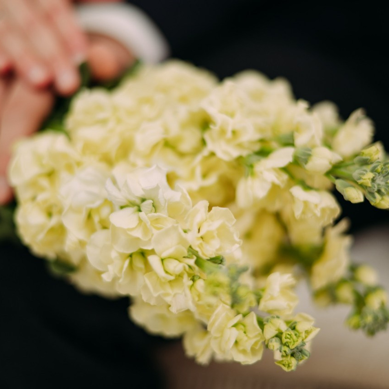 Отзывы. Фотограф Рашковская Полина