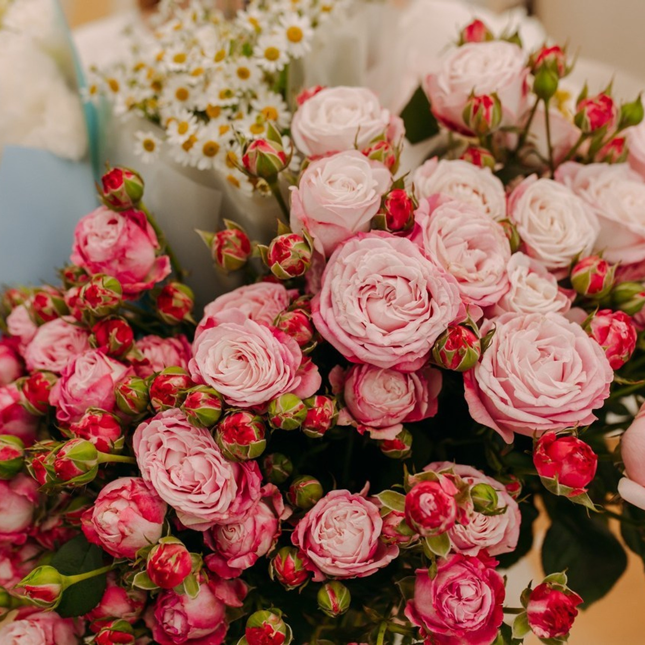 Отзывы. Фотограф Рашковская Полина