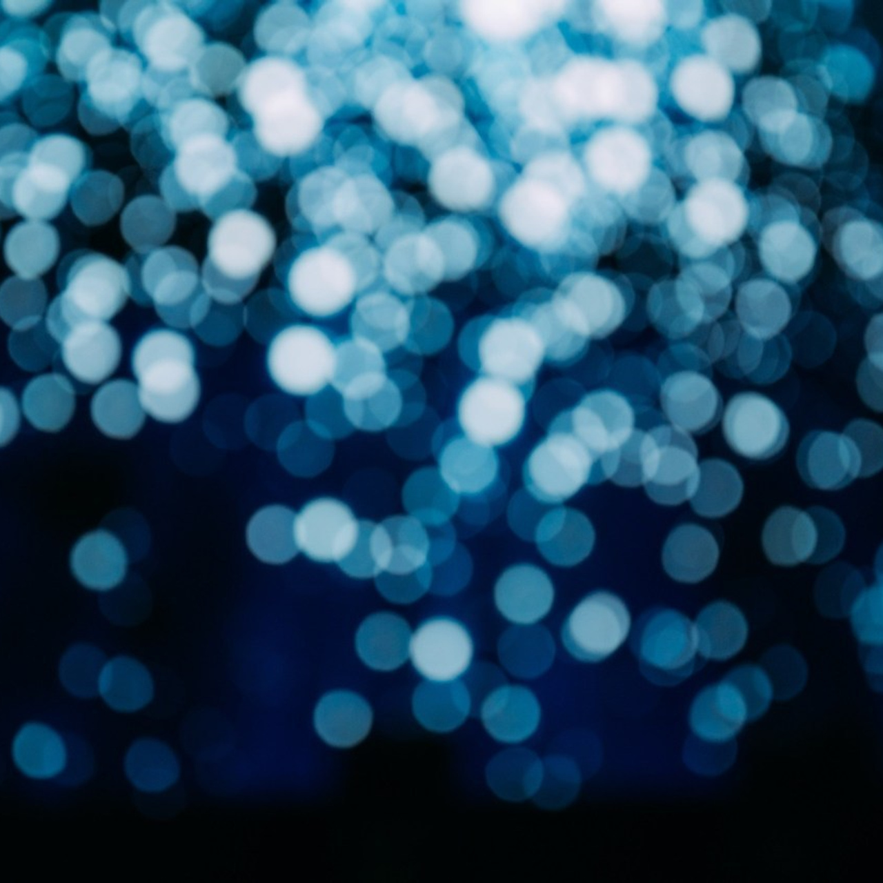 Отзывы. Фотограф Рашковская Полина