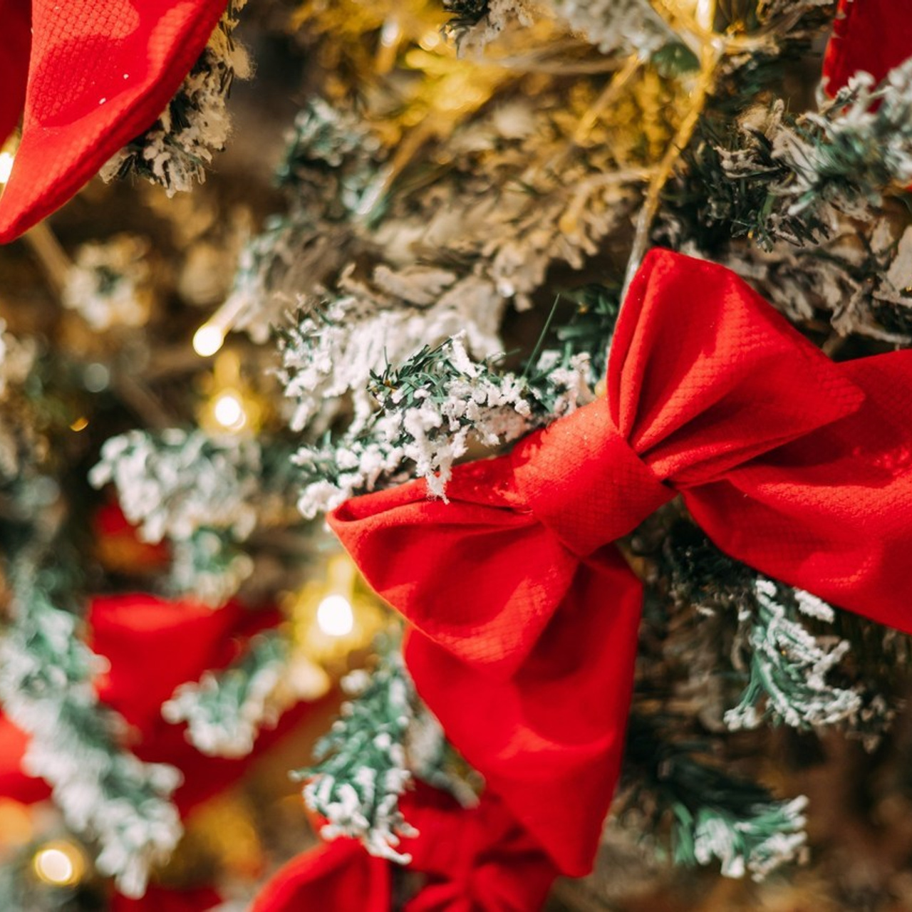 Отзывы. Фотограф Рашковская Полина