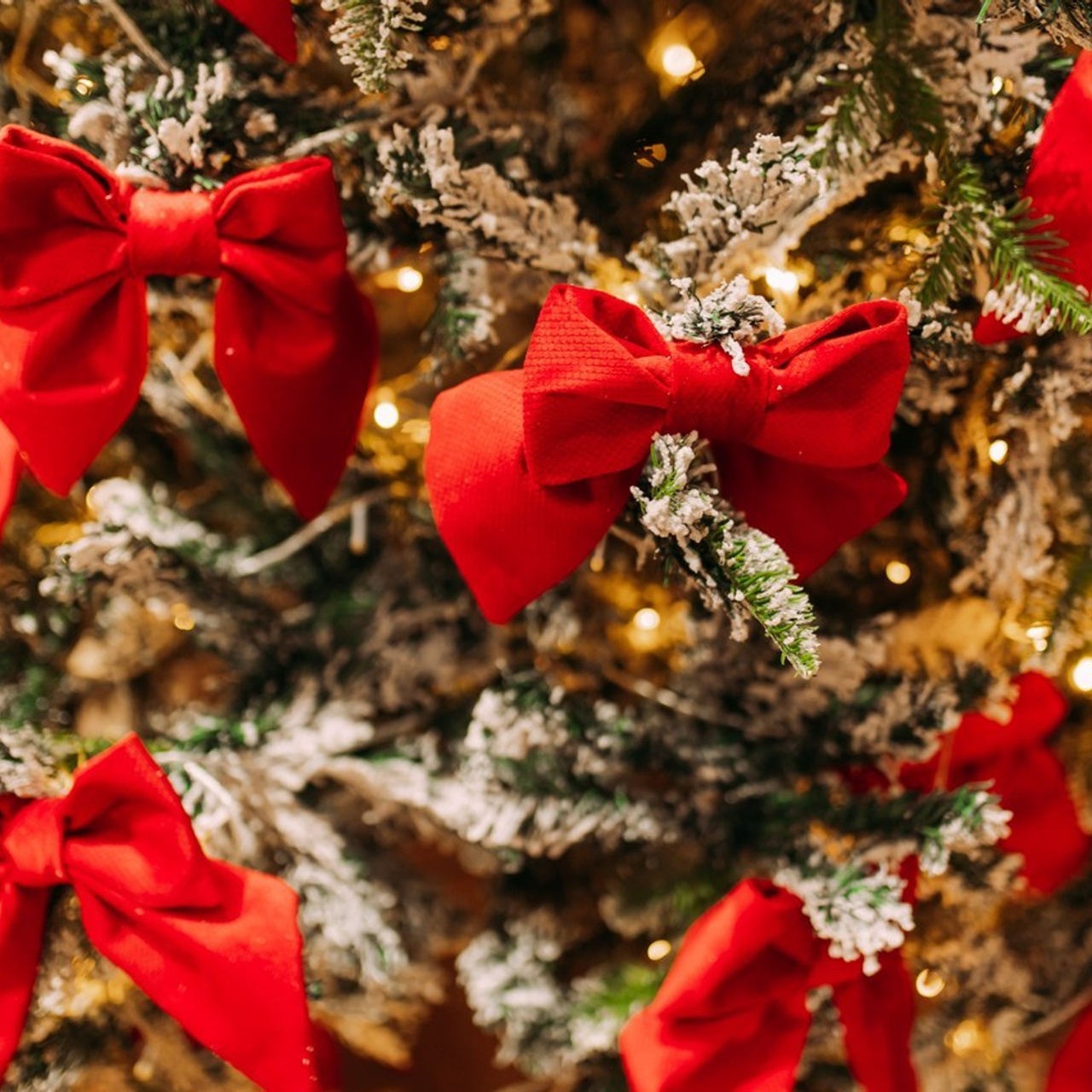 Отзывы. Фотограф Рашковская Полина