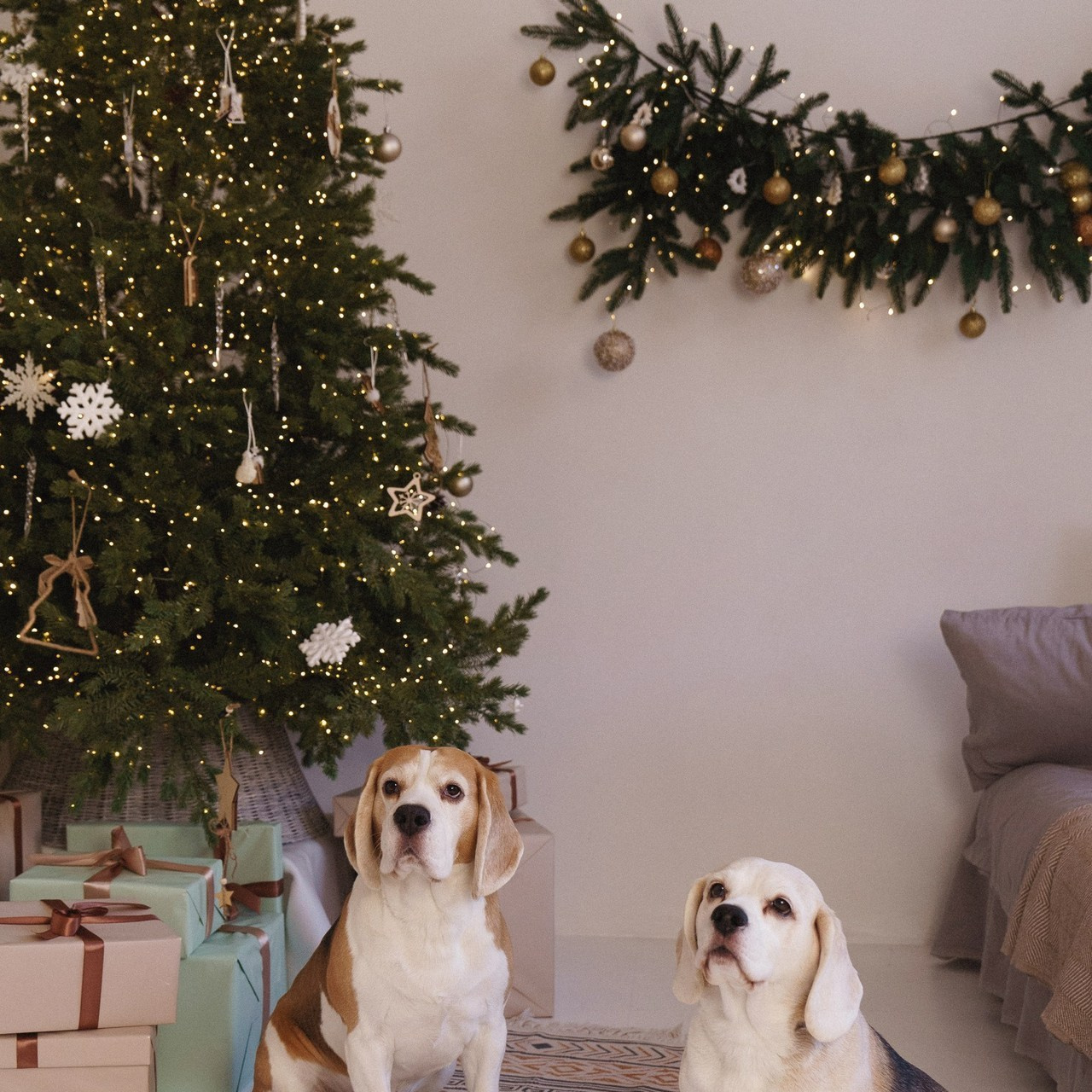 Отзывы. Фотомастерская Воробьевых